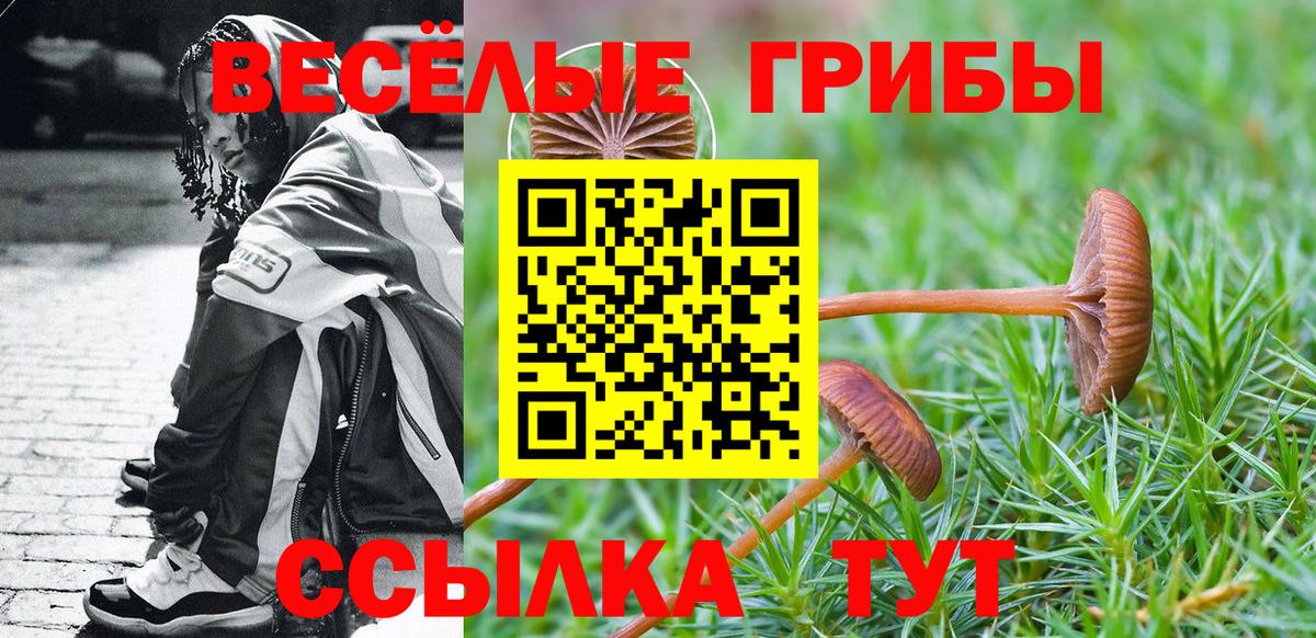 Норильск  как найти закладки  Вход с VPN  Псилоцибиновые грибы Psilocybine cubensis 